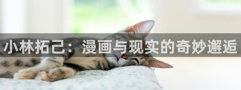 腐漫画网站男男